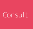 IT Consulting